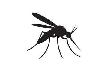A Mosquito Vector silhouette on white background.