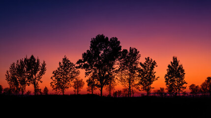 Fototapeta premium Colorful sunset behind silhouette of trees in a tranquil landscape