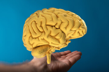 Image of a golden brain held in a hand, symbolizing intelligence, knowledge, and innovative ideas.