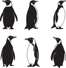 Obraz premium Penguin Silhouette
