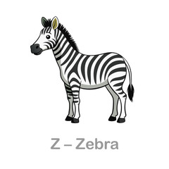 Obraz premium Zebra flashcard. Wild animals illustrations for learning letters. Zebra illustration for kids. Leaning English with animal clip arts. Vector