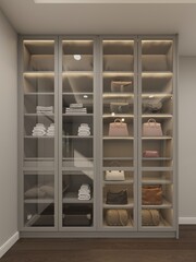 3d rendering of interior walk-in closet room
