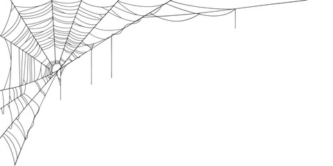 Spider web line art vector eps