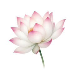 Transparent Background Lotus Watercolor, Pink Pastel Clip Art for Illustrations.