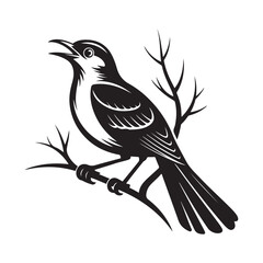 mockingbird. Vector black silhouette. with white background