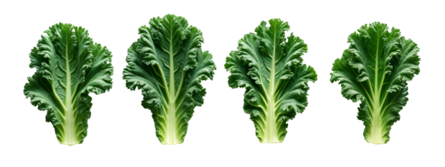 A set of four green leafy vegetables