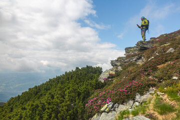 Mountaineer with backpack and poles climbing steep rocky slope in foggy conditions, contrasted by colorful wildflower meadow in foreground