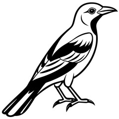Black and White Crow Bird Illustration