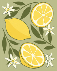 Lemons with leaves and flowers on a light green background.