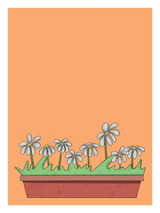 Daisies in a pot with a bright orange background