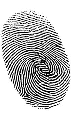 Single fingerprint unique identity crime scene vector illustration