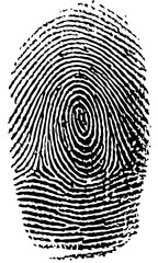 Single fingerprint unique identity crime scene vector illustration