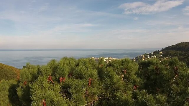 Aerial Reveal Over Pine Trees Showing the Village of Caion on a Sunny Day with Thin Clouds - 1657
