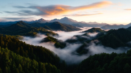 Obraz premium A mist-covered forest at the foot of a mountain 