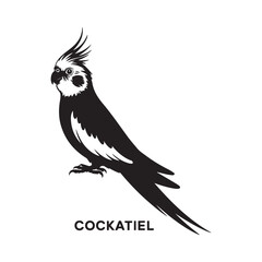 cockatiel Vector black silhouette. with white background