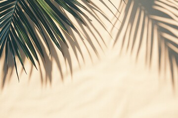 A shadow of palm leaves on sand, creating an abstract background with soft beige tones