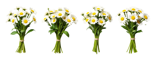 A bunch of white daisies tied up with twine.