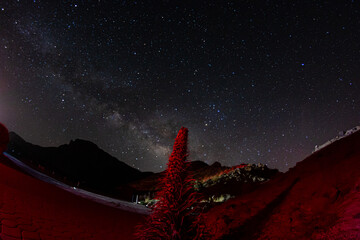 Red Tajinaste and the milky way