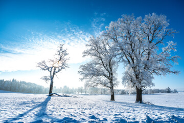 Winterlandschaft 