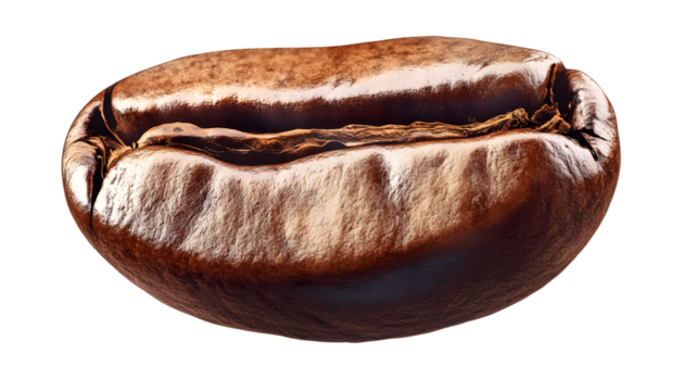 illustration of one coffee bean isolated on a transparent background