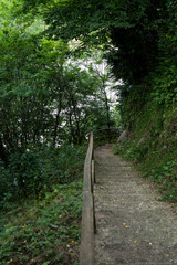 Steps down in the forest in the mountains of Georgia