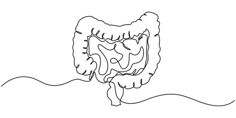 Continuous Line Drawing of Intestines Icon. Hand Drawn Symbol Vector Illustration, Surgery to remove part of the intestine and create a stoma. Saving a person's life. Ostomy Awareness Day.