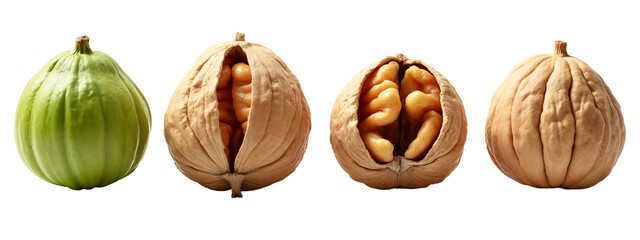 A close up of three walnuts