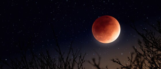 Total Lunar Eclipse Blood Moon Glowing Red Halo Night Sky