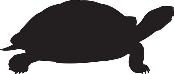 Twelve silhouettes of adorable tortoises and turtles.