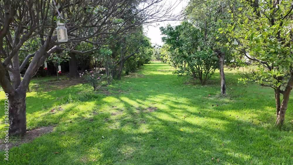 Poster a park with a path through it and trees. the trees are green and the grass is lush