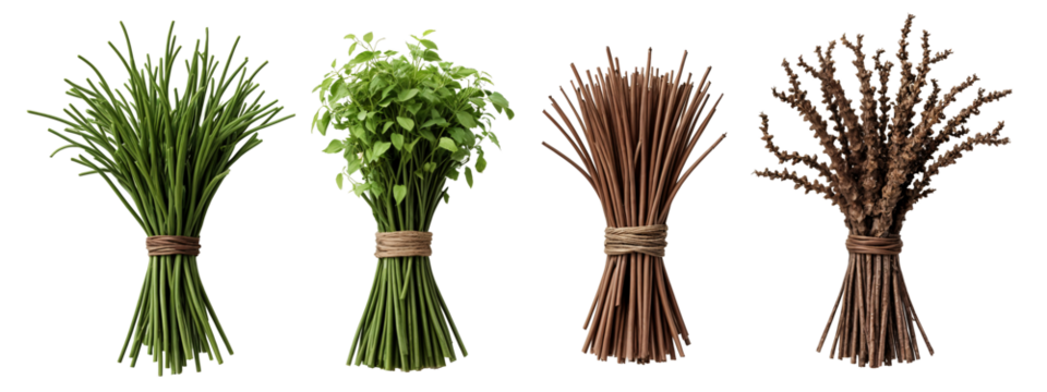 A bunch of twigs tied up with twine