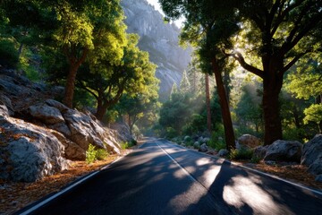 Obraz premium Scenic road through a forest with sunlight filtering through trees in a mountainous area