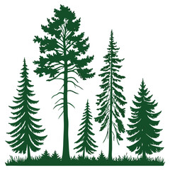 Obraz premium Vector silhouette of pine trees on white background