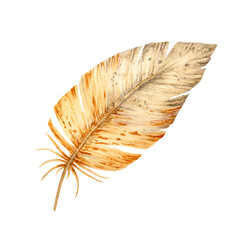 Watercolor illustration of a single brown feather with soft texture and fine details. Natural and artistic element for spring designs, wildlife themes, and eco-friendly creative projects.