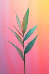 Fototapeta premium Ethereal Plant Portrait: Serene Green Leaves Against a Vivid Gradient Backdrop, Evoking Tranquility and Natural Beauty with a Touch of Dreamy Pastel Hues.