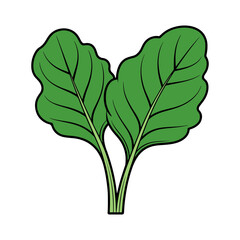 Illustration of two green leafy vegetables with prominent veins and black outlines on a white background