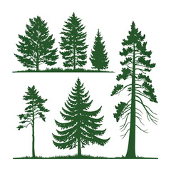 Obraz premium Set of 6 green pine tree silhouettes vector