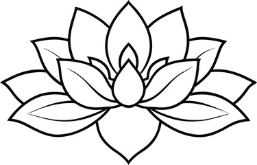 black and white lotus
