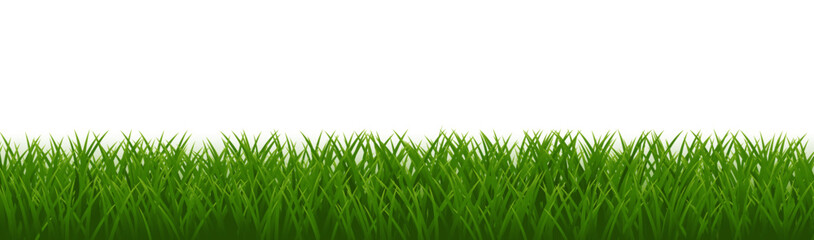 Green Border Isolated And White Background