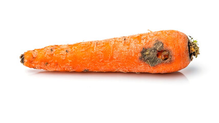 Rotten Carrot Macro - Moldy Vegetable Decay