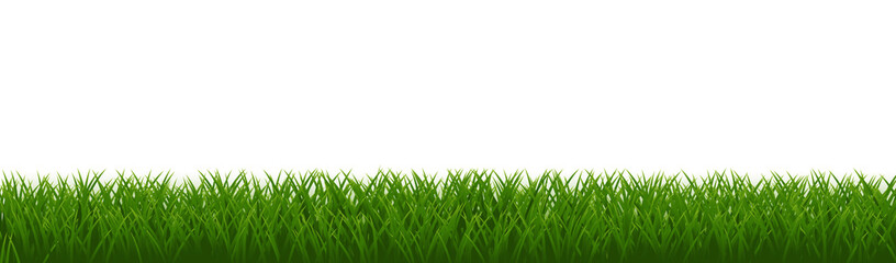 Obraz premium green grass background