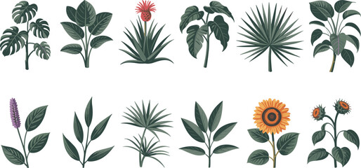 Nature-Inspired Botanical Illustration: Diverse Plants, Flowers, and Foliage for Eco-Friendly Design
