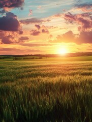 Fototapeta premium A serene sunset over a lush green field