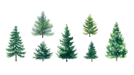Obraz premium Set of trees with different sizes and shapes