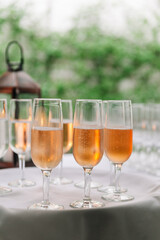 Elegant glasses of sparkling beverage arranged on a table at a festive outdoor gathering in the evening light