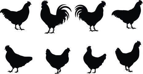 Farm Animal Silhouettes: Roosters and Hens in Various Poses for Rustic and Agricultural Design