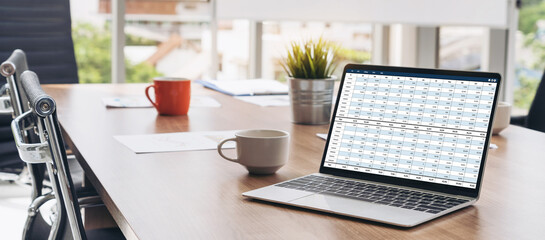 Accounting software on computer screen showing financial statement spreadsheets and account balance...