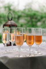 Celebrate with sparkling drinks in elegant glasses at a garden party during golden hour