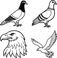 Long-tailed Kingfisher Bird
Kingfisher Indian Three Toed Kingfisher Bird
Coloring Book and Woodland Kingfisher
