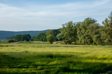 landscape with beautiful and green nature in the Republic of Moldova. Amazing green in the villages of Moldova. Summer the most beautiful season.